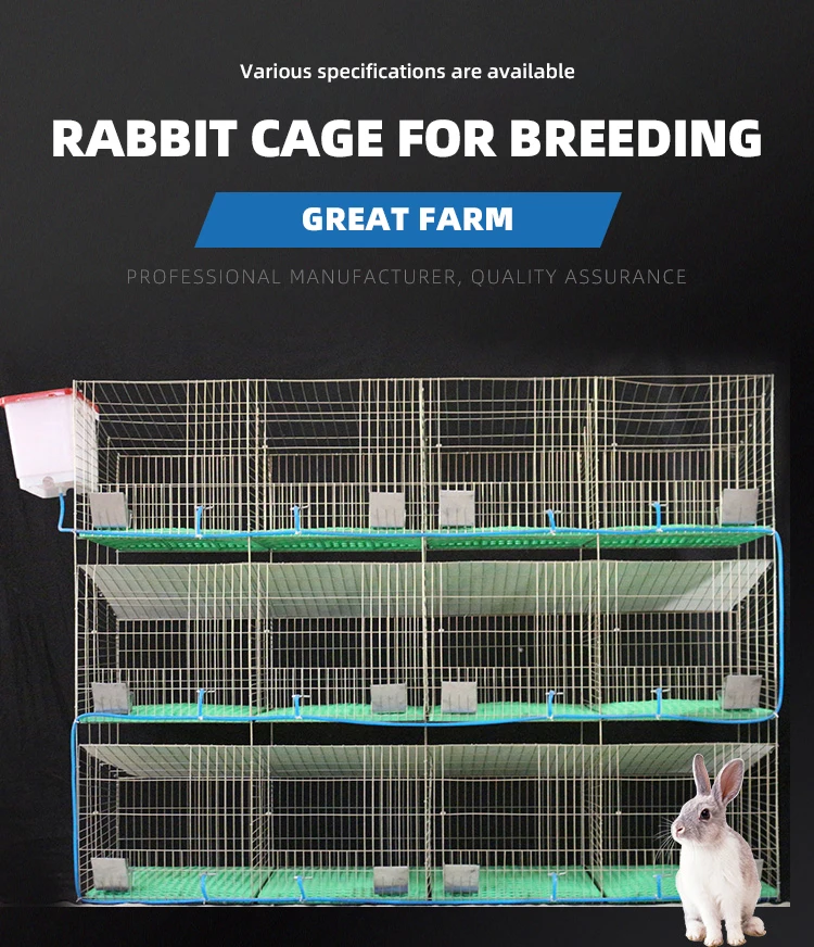 Galvanized Rabbit Cages Cheap Commercial Rabbit Breeding Cages