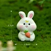 The 4th is the Year of the Rabbit