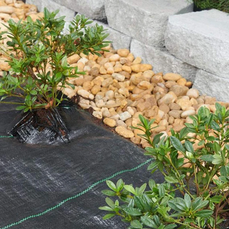 Tissu Anti-Mauvaises Herbes 2x10 M – Perméable, Résistant Aux UV, Pour Massifs, Allées, Terrasse, Jardin
