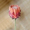 สีส้ม