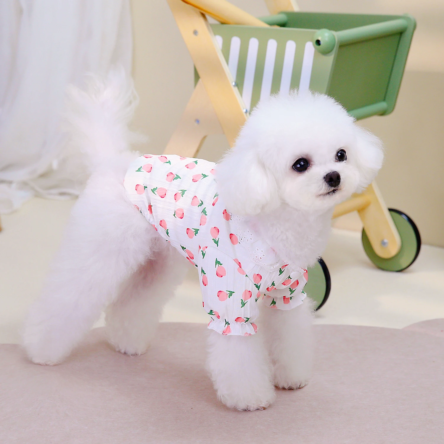 Dog Shirts Cotton T-Shirt, Summer Pet Clothes for Small Dogs