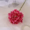 Una rama de flores de color rojo rosa.