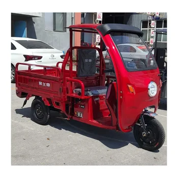 Cheap E-Trikes 3 Wheel Motorcycle with Roof for Transport / Off Road Zongshen E Cargo Cabin 1000W Electric Tricycles for Adults