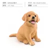 PL127-1532 Labrador Retriever 213g