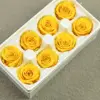 B mei 4-5 amarillo (8 flores)
