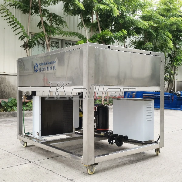 CE Approved Transparent Block Ice Making Machine 100kg Per Day Clear Pure Ice Cube Sphare Ice Ball for Bar Restaurant Hotel
