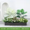 hc-Y80-31 es adecuado para jardineras de 80 cm.