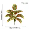 Vert 12 feuilles avec racines