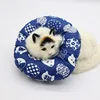 Blue cat head