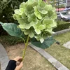 verde 6#