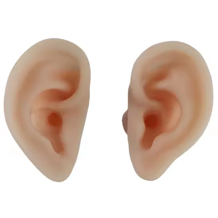 Medical Training Anatomical Model Soft Silicone Human Ear for Suturing Ear Sampling Science and Teaching Tool Organ Model