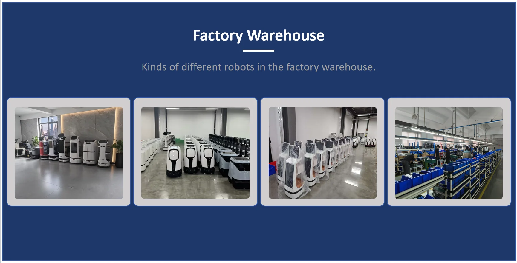 product-1-1 product-1-1
