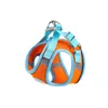Orange chest and back
