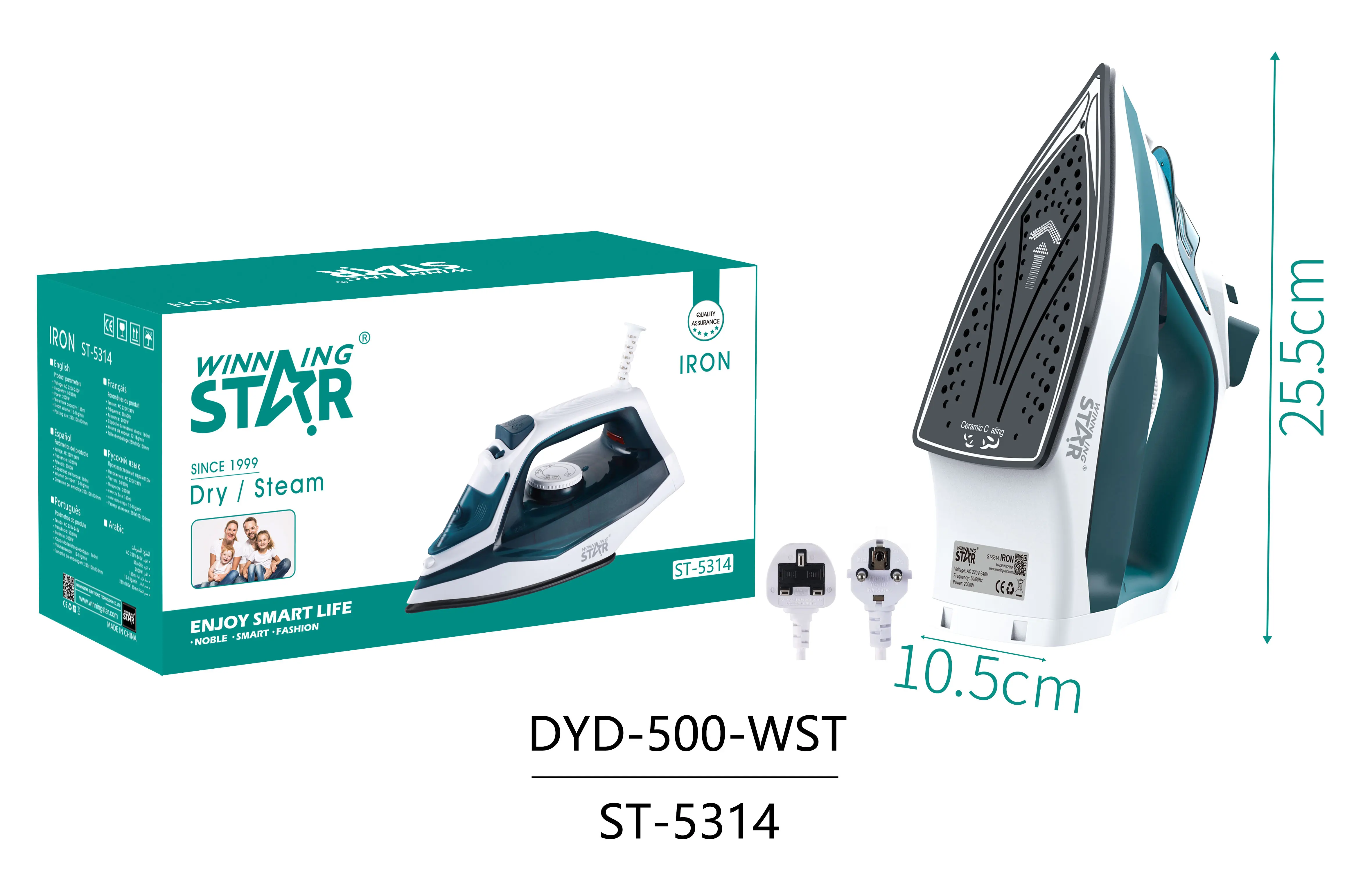 Winning Star St5314 2000w Factory Best Selling Electric Portable Steam
