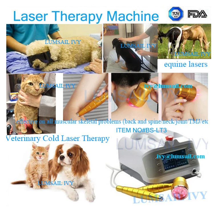 cold laser therapy veterinary