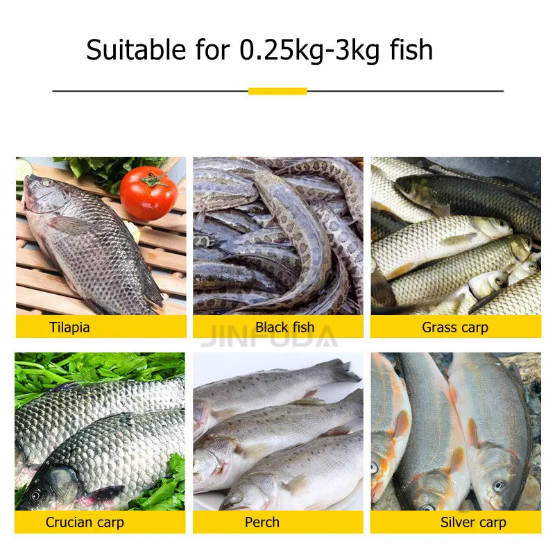 High Quality Small Tilapia Fish Processing Cleaning Small Big Fish Scaling Killing Machine