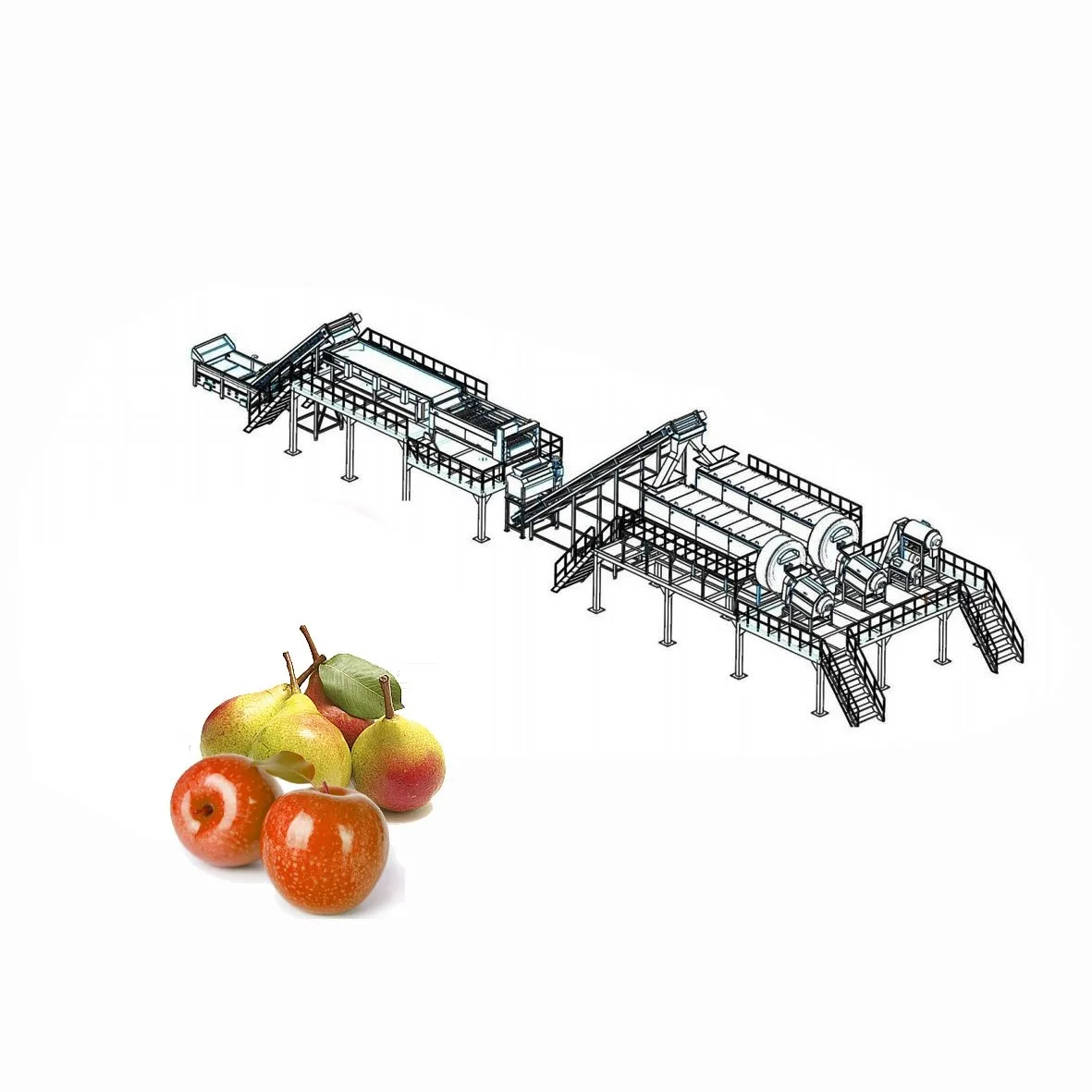 Apple Vinegar Production Line apple Sorting Machine