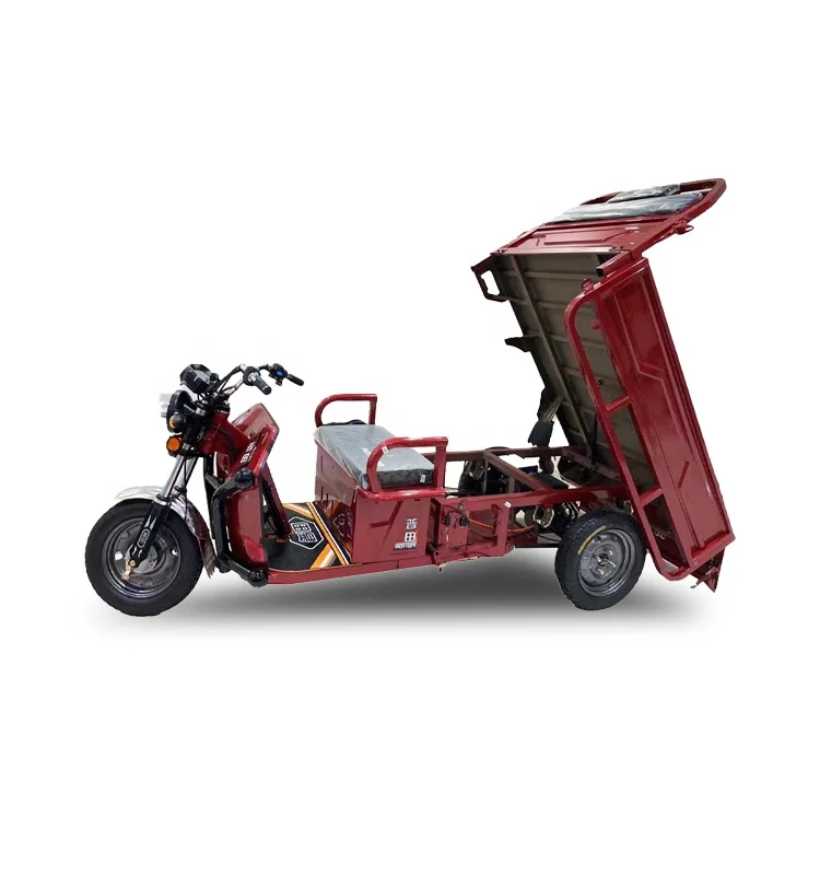 Best Selling Motorcycle Three Wheel Sidecar E Bike Electric Bicycle 3 Adult Trike Motocross Waste Container Motorized Tricycle
