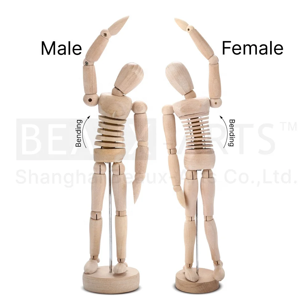 Asint Artists' Human Manikin - Male 8 Wooden Human Mannequins  Wooden Artist Manikin for Art/Body Drawing Male - Manikin