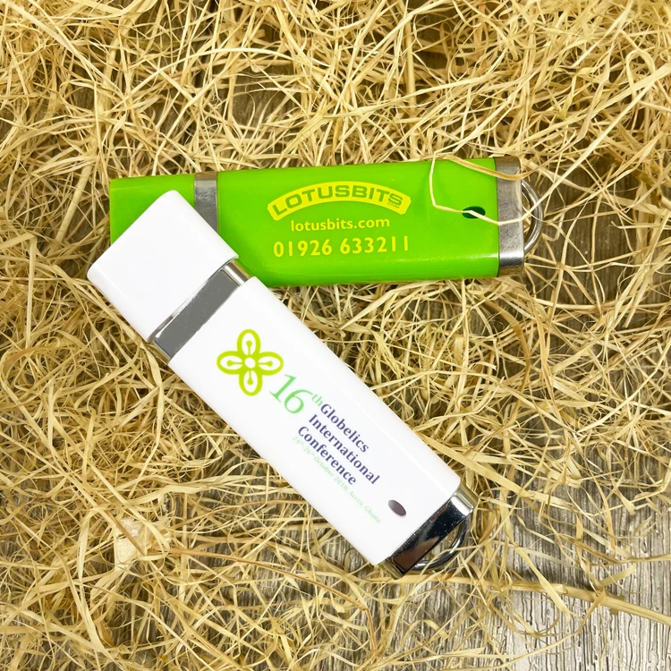 Bulk Cheap Business Gift Plastic USB Flash Drive 1GB 2GB 4GB 8GB 16GB 2.0 USB Stick Pen Drive with Custom Logo - ANKUX.COM