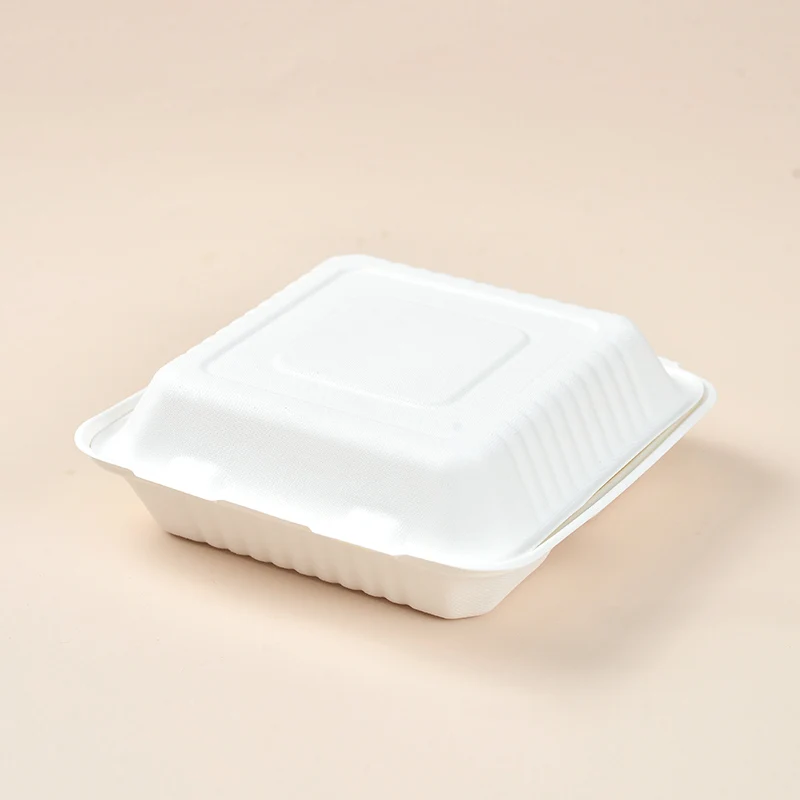 9 Inch Eco-Friendly Biodegradable 1000ml Disposable Lunch Box PCT091 ...