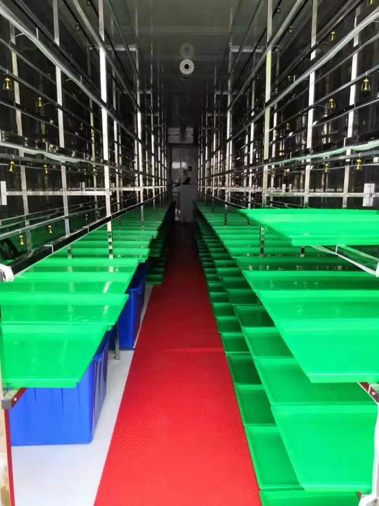 Container Type Automatic Barley Green Grass Hydroponic Fodder Solutions Price