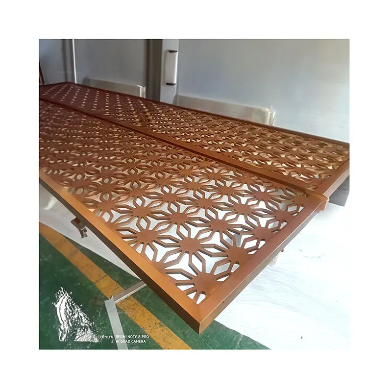 Изготовленный на заказ розовое золото не долго после стальной перегородки экрана Современная комната Золотой