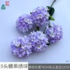 Hortensia Candy HN de 5 cabezas, violeta claro, sin hojas