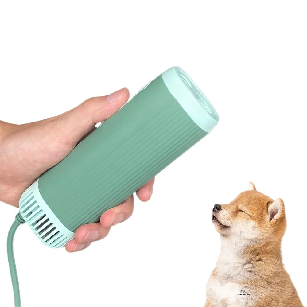Dryer High Power Silent Hair Blower For Dogs Water Blower 15 Levels Of Temp