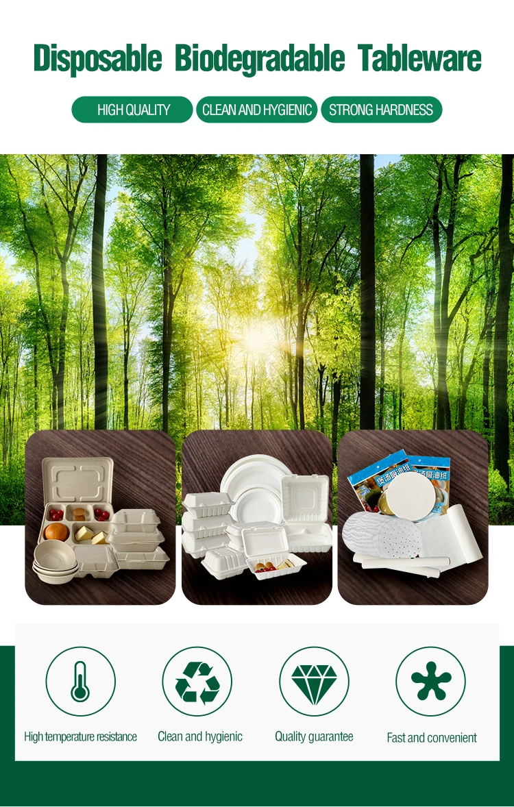 Custom Disposable Sugarcane Cardboard Bento Box Fast Food Container