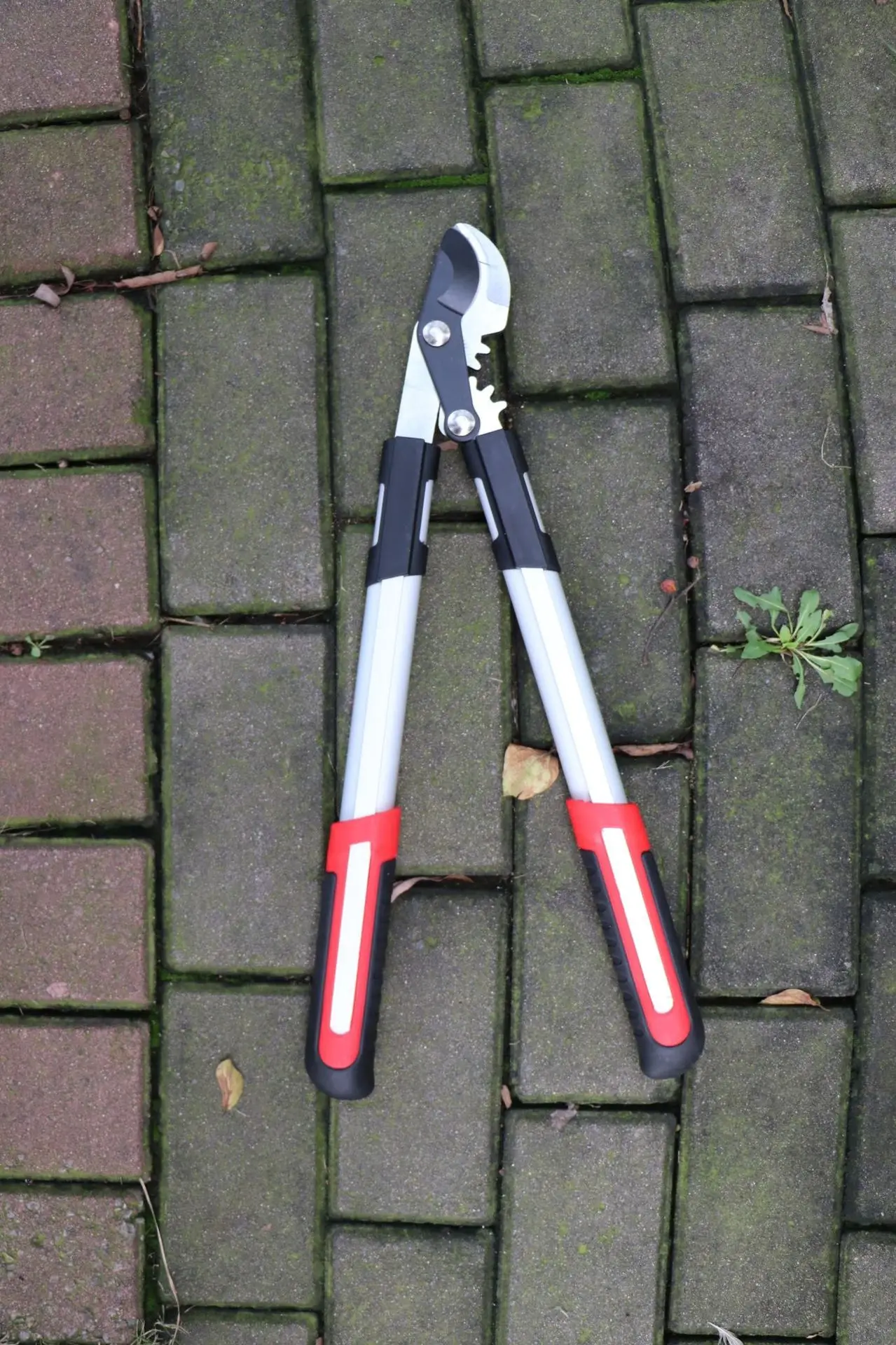 50cm Lopper Hedge Shear Gardening Tool,Heavy Duty For Tree Pruning