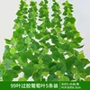99 grape leaves with 5 pieces of glue