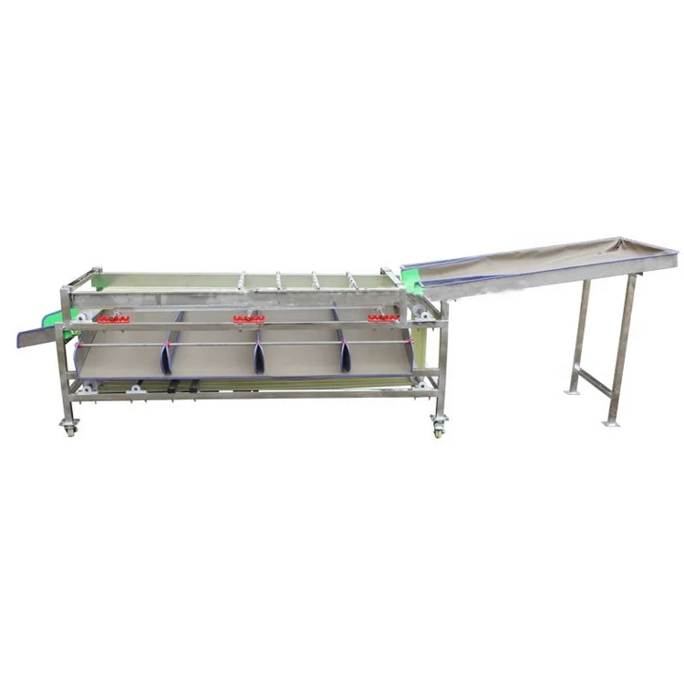 2024 Large Fruit Size Sorting Machine Orange  Cherry Fruit Track Grader Equipment Fruit and Vegetable Process Line