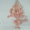 Rosa, StyleB #6