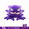 Haunter-30cm