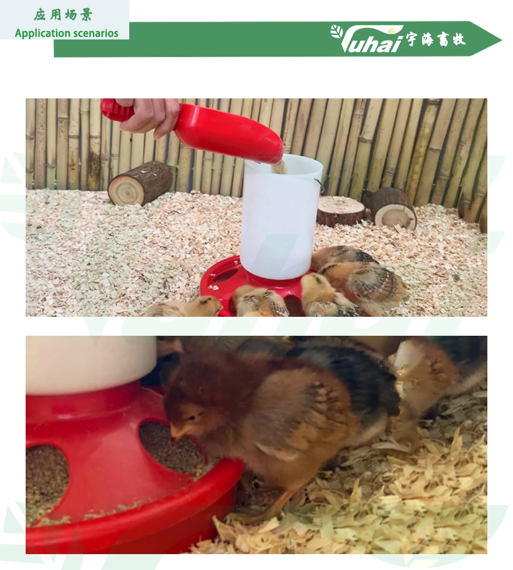 Automatic 1.5KG Poultry Feeder Drinker Kit New Condition Plastic Chicken Feeder Drinking Straw 1.5L Outdoor Tableware 1 Year supplier