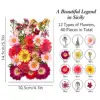 40 ชิ้น/ถุง, สีแดงและสีชมพู