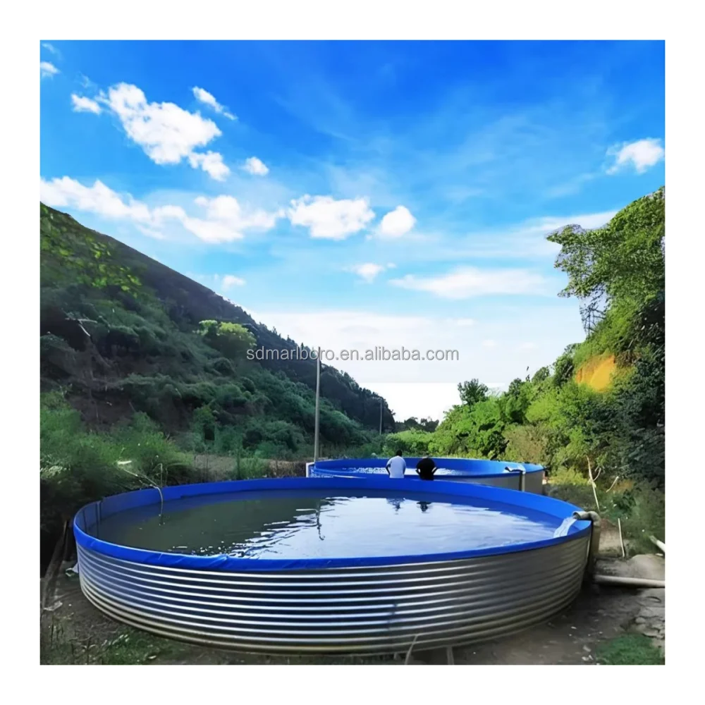 Recirculating Aquaculture System RAS for Fish Aquaculture Equipment  Tilapia Breeding Equipment
