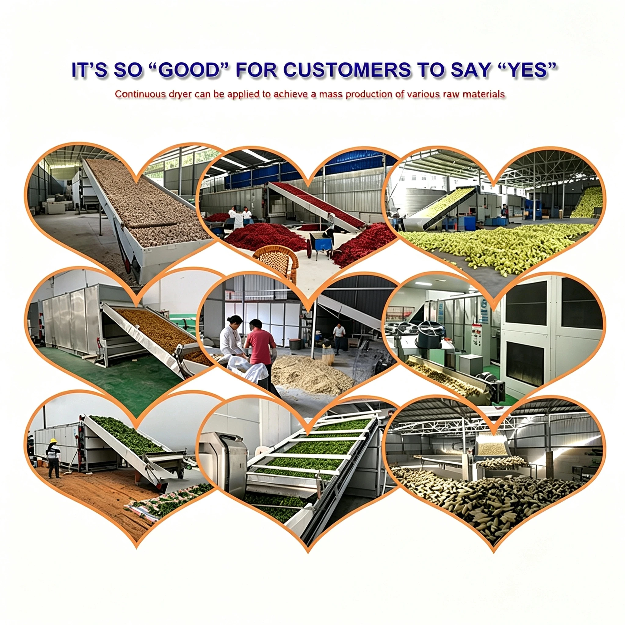 Ginger Washing and Drying Machine Drying Machine Oven Turmeric Ginger Dryer