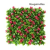 Bougainvillea Rose Red