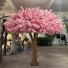 Pink3