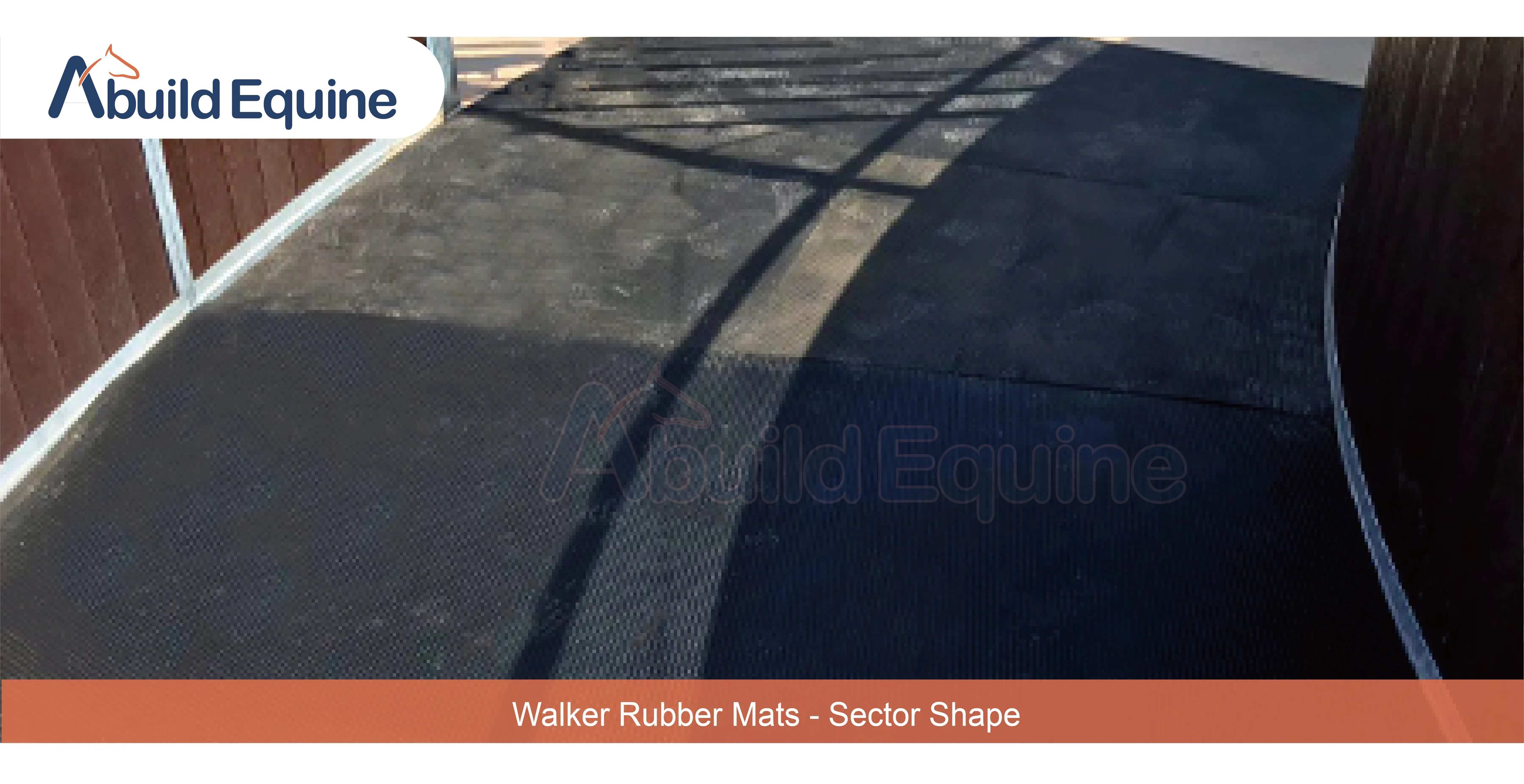 4 Horse Exercise Equipment Equine Training Machine Horse Walker With