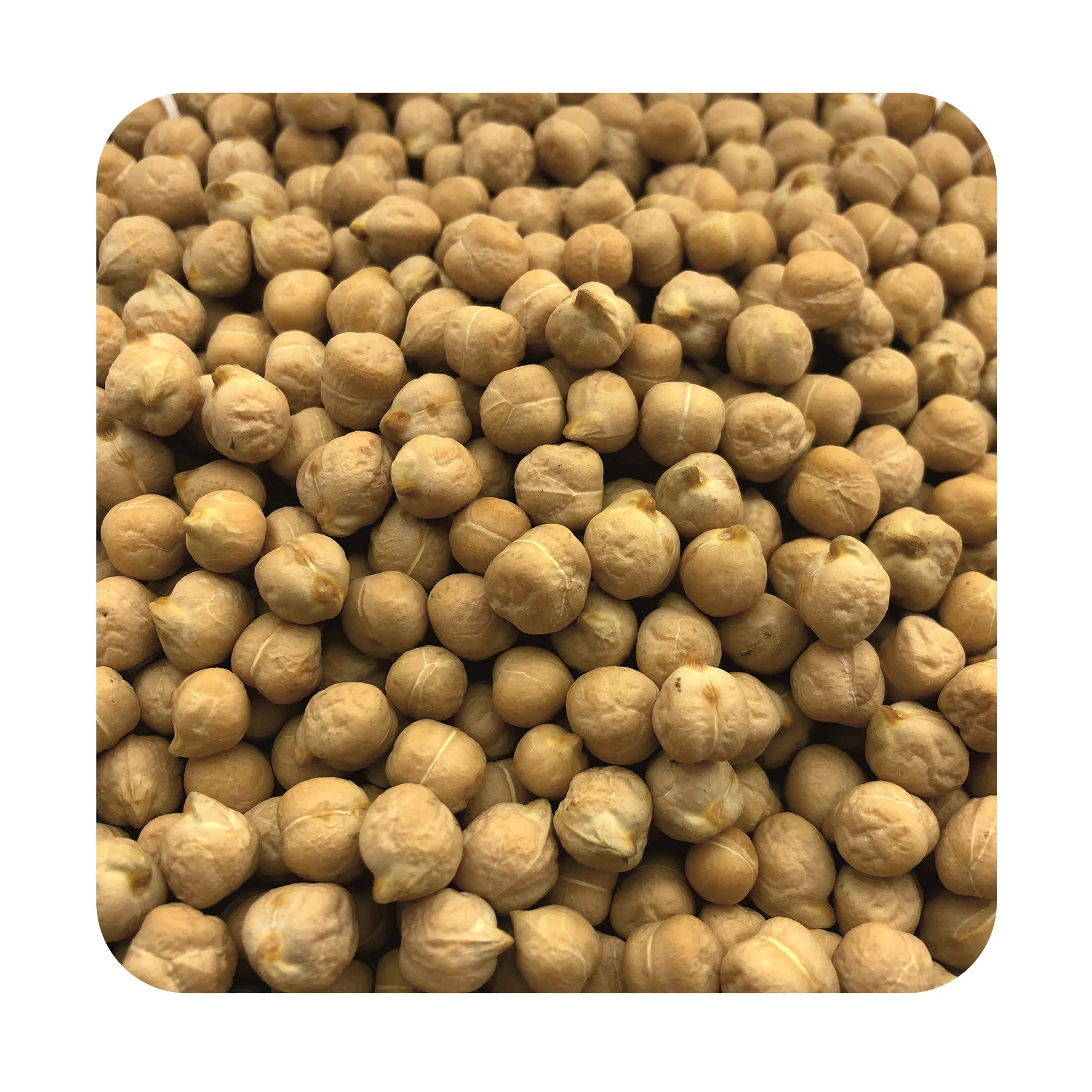 Premium kabuli chick peas big bag, wholesale price