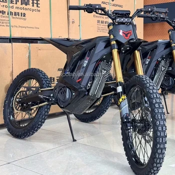 2025 New Arctic Leopard Clouded Leopard XE PRO S 2025 72V55Ah 20KW Electric Motorcycle E Moto High Speed Off Road DirtBike
