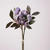 Myrtille