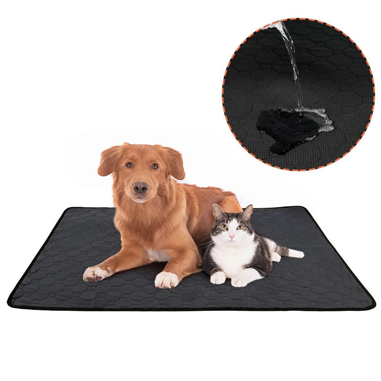 Pet Pee Diaper Training Pads