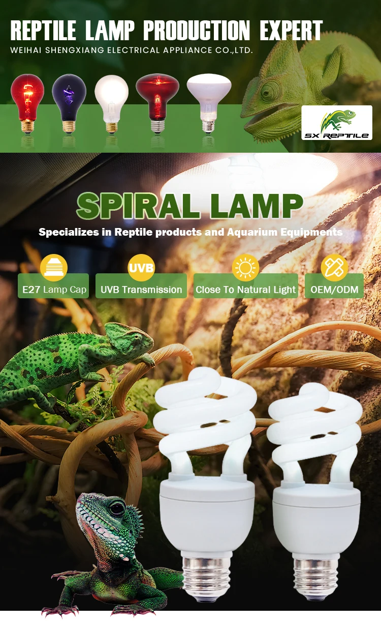 Wholesale Reptile Supplies Vivarium Reptile Uva Uvb Spiral Bulb