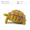 colorido Q9899-S592 Tortuga Sukada 156g