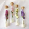 Fiori secchi 3