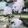 Hortensia#5
